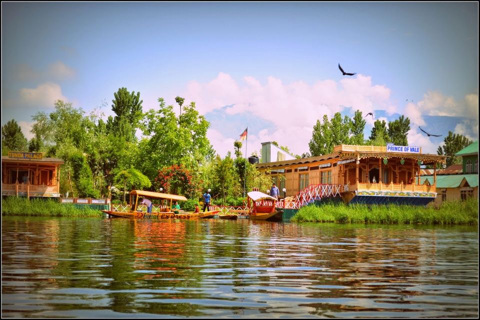 Photo of Kashmir Part 1: Srinagar 3/10 by Neha Sharma