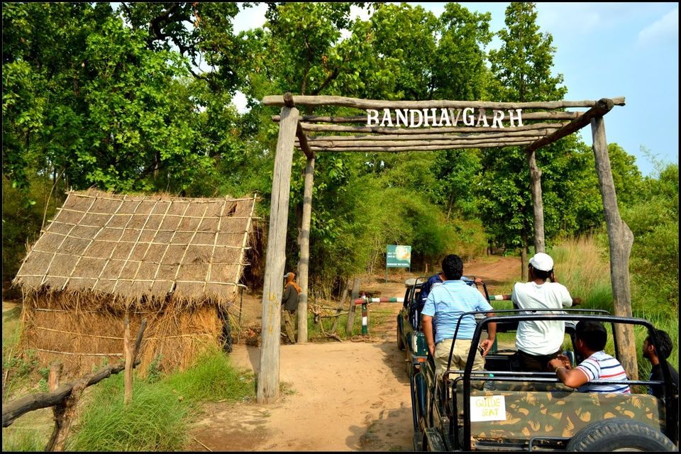 Photo of A Wild Encounter: Bandhavgarh 3/8 by Neha Sharma
