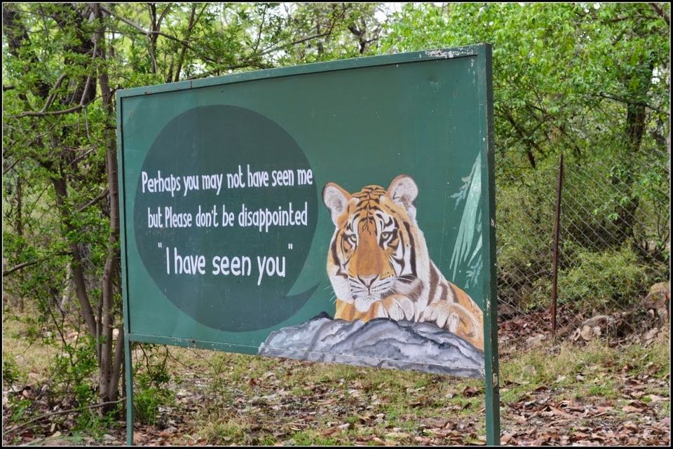Photo of A Wild Encounter: Bandhavgarh 4/8 by Neha Sharma