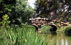 Photo of Golden Gate Park, Golden Gate Park, San Francisco, CA, USA by Anthony Khoury