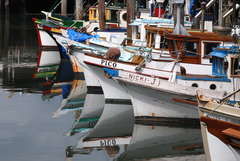 Photo of Fisherman's Wharf, Fisherman's Wharf, San Francisco, CA, USA by Anthony Khoury