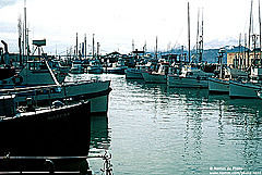 Photo of Fisherman's Wharf, Fisherman's Wharf, San Francisco, CA, USA by Anthony Khoury