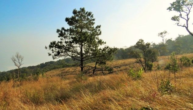 Photo of 'Mizoram, a jewel in India's North East' by Sumita Bhattacharyya by Sumita Bhattacharya