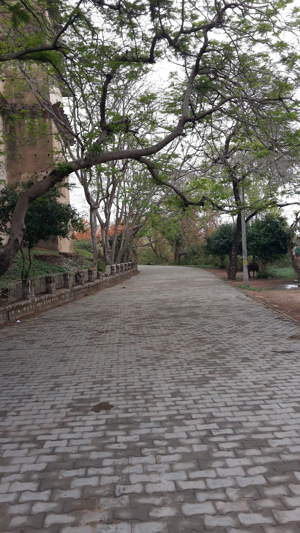 Photo of ओरछा किला - भव्यता और दोस्ती का प्रतीक by Kalpana Srivastav