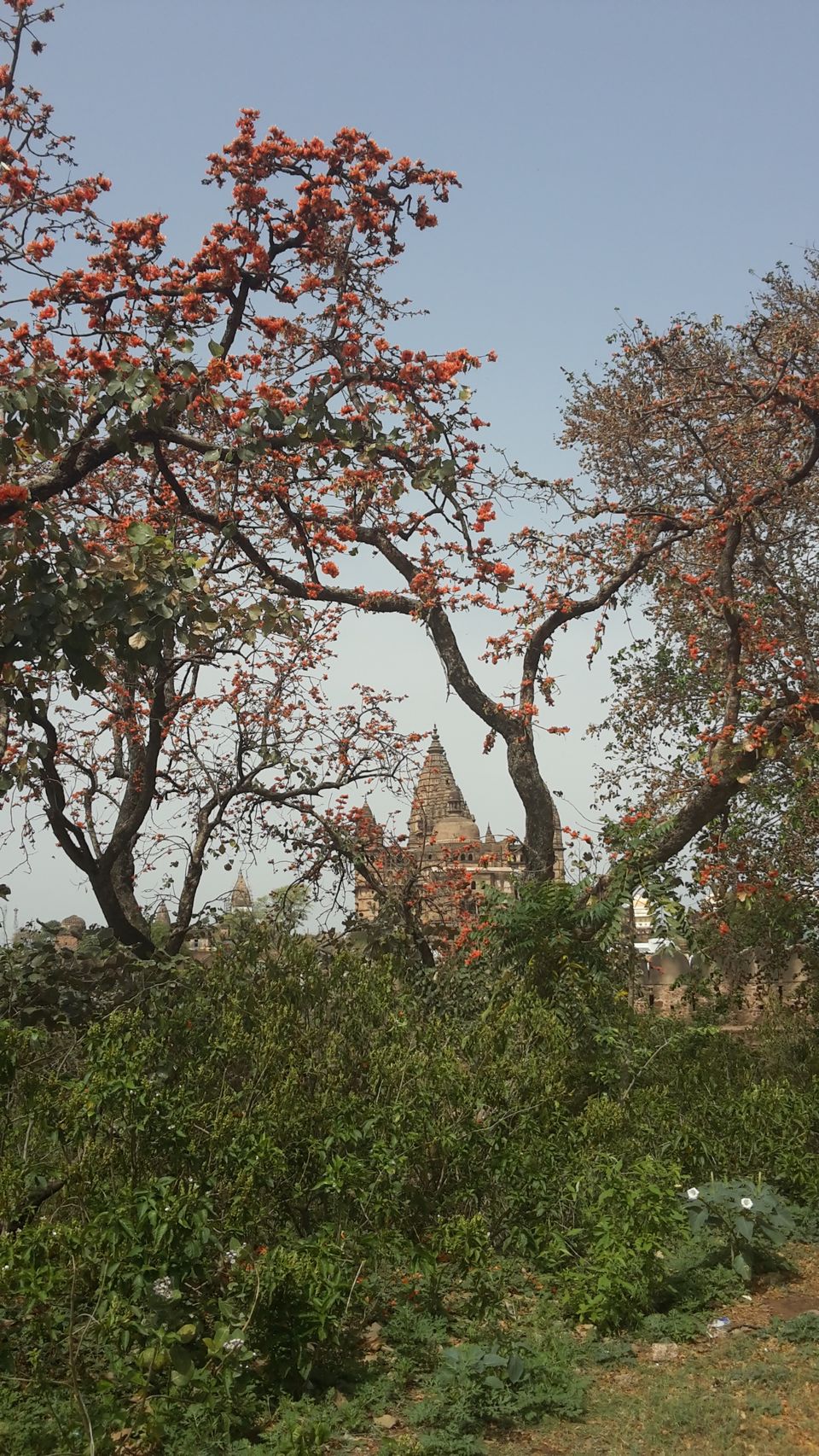 Photo of ओरछा किला - भव्यता और दोस्ती का प्रतीक by Kalpana Srivastav