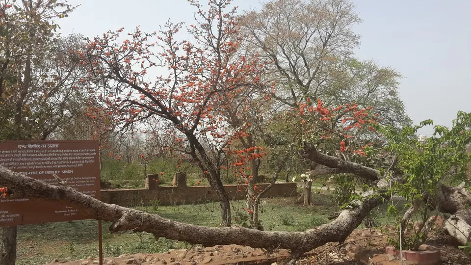 Photo of ओरछा किला - भव्यता और दोस्ती का प्रतीक by Kalpana Srivastav