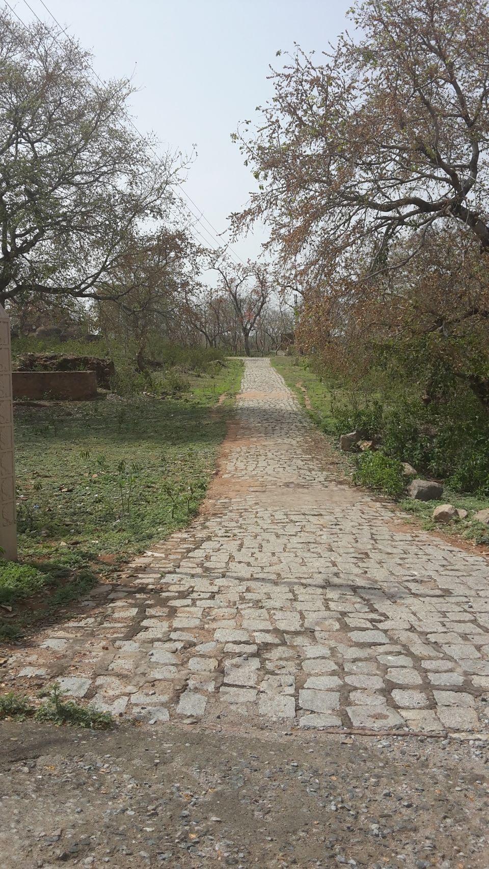 Photo of ओरछा किला - भव्यता और दोस्ती का प्रतीक by Kalpana Srivastav