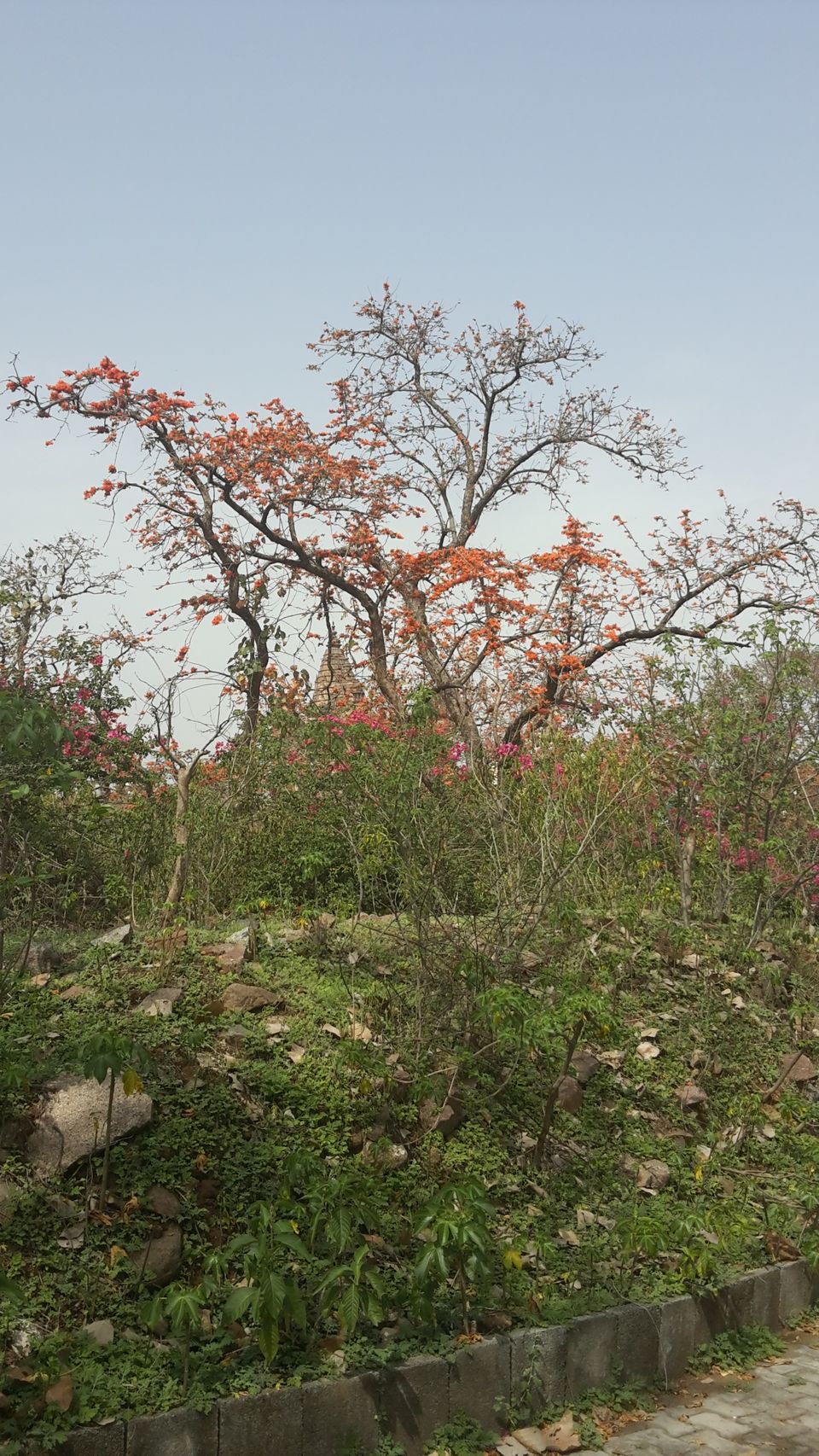 Photo of ओरछा किला - भव्यता और दोस्ती का प्रतीक by Kalpana Srivastav