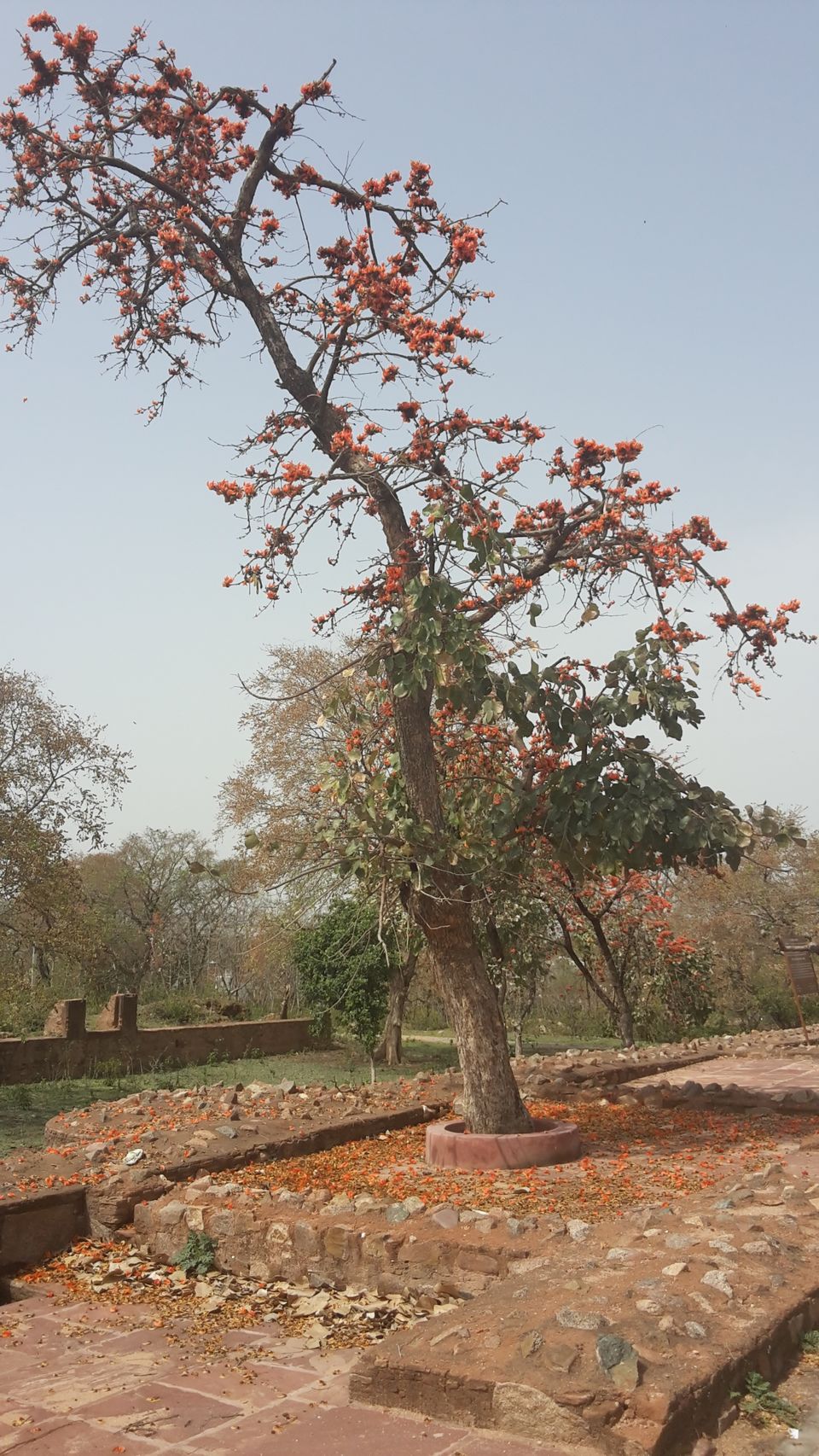 Photo of ओरछा किला - भव्यता और दोस्ती का प्रतीक by Kalpana Srivastav