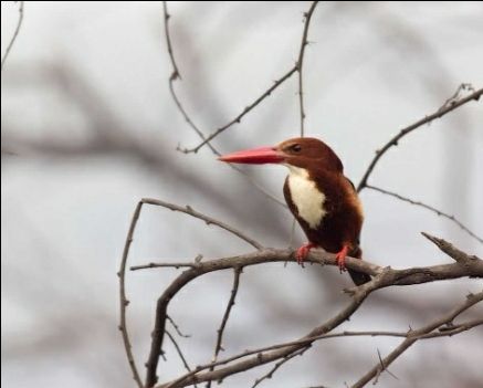 Photo of जेब पर ना पड़े भारी, कर लो घुमने की तैयारी by Kalpana Srivastav
