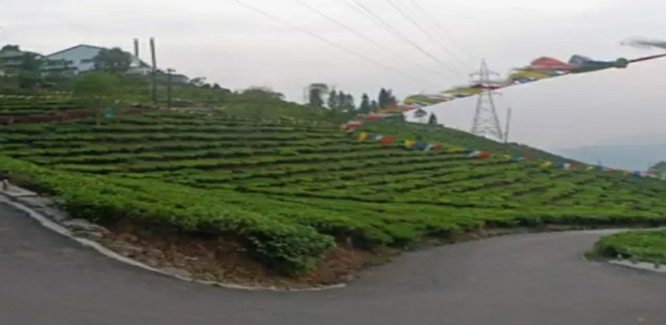 Photo of कुर्सियांग by Kalpana Srivastav