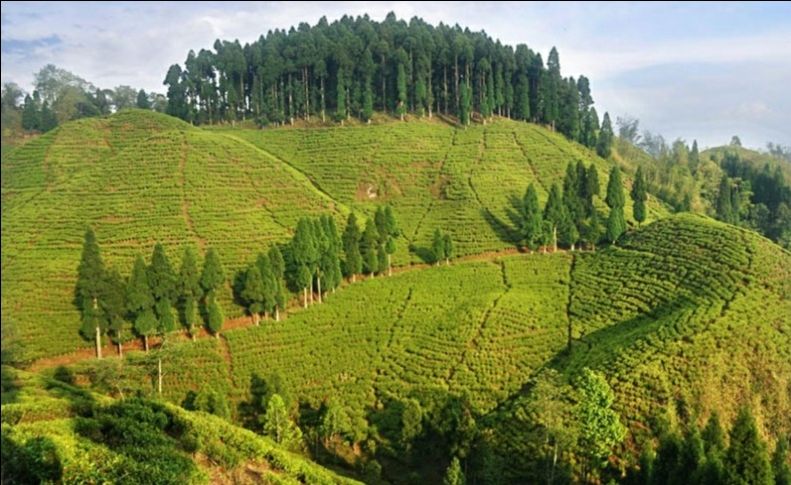 Photo of मिरिक by Kalpana Srivastav