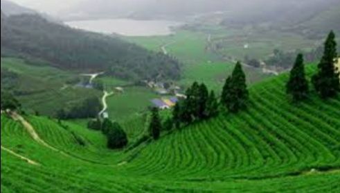 Photo of सात दिन में घूमें उत्तरी बंगाल और सिक्किम के ये 10 खूबसूरत जगह..... by Kalpana Srivastav