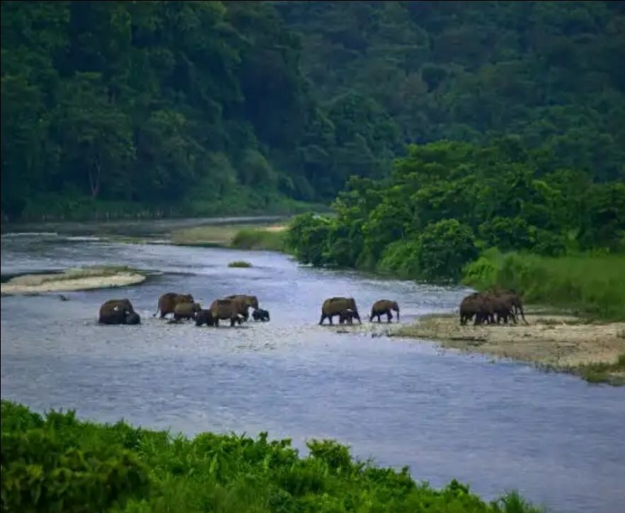 Photo of सात दिन में घूमें उत्तरी बंगाल और सिक्किम के ये 10 खूबसूरत जगह..... by Kalpana Srivastav