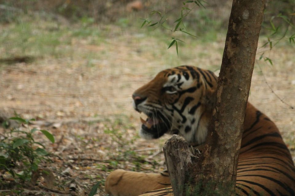 Photo of Bangalore (summer break – perfect place) 14/15 by Shiva Reddy Katukoori