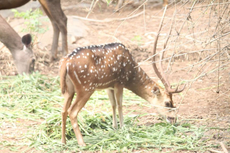 Photo of Bangalore (summer break – perfect place) 1/15 by Shiva Reddy Katukoori