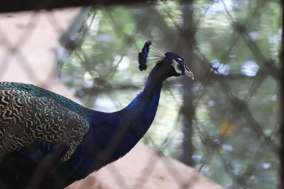 Photo of Mangalore, Karnataka, India by challa prashanth reddy