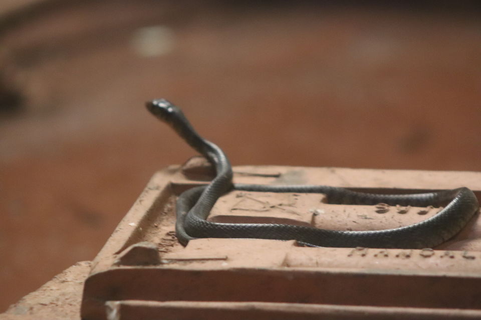 Photo of Mangalore, Karnataka, India by challa prashanth reddy