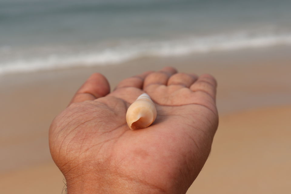 Photo of Beauty of Karnataka (Mangalore,Madikeri) by challa prashanth reddy