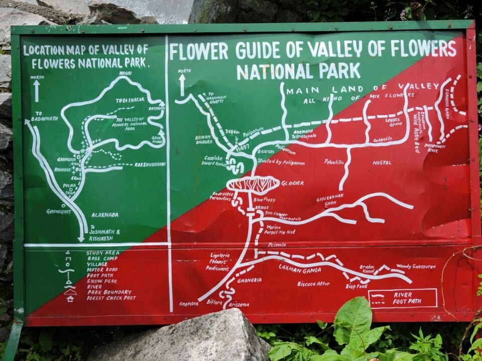 A serene trek to the Valley of Flowers Tripoto