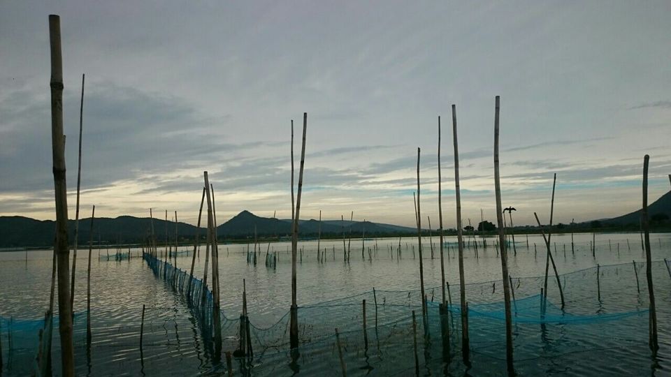 Photo of Rambha, where green gets molten in the Queen of Lakes by Nilanjana