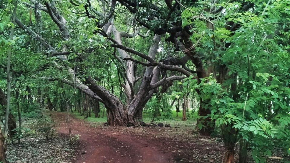 Photo of Vikarabad, Vikarabad, Telangana 501102, India by Archishman Paria