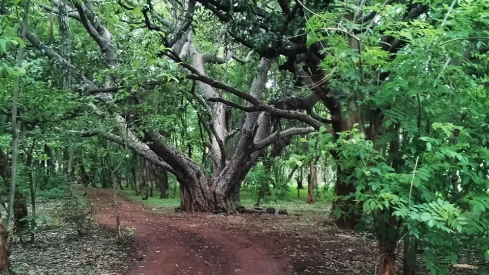 Photo of Vikarabad, Vikarabad, Telangana 501102, India by Archishman Paria