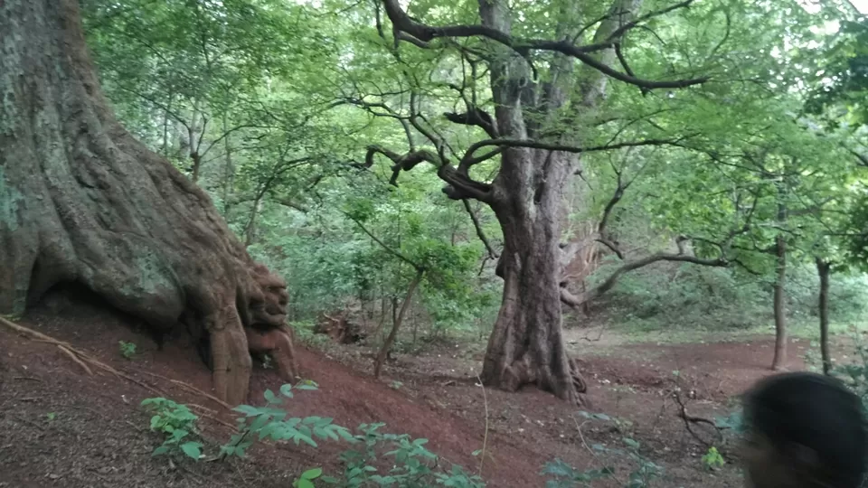 Photo of Vikarabad, Vikarabad, Telangana 501102, India by Archishman Paria