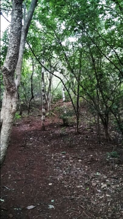 Photo of Vikarabad, Vikarabad, Telangana 501102, India by Archishman Paria
