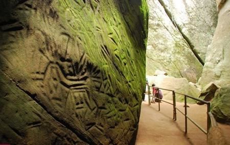 Photo of Wayanad – The green paradise! 3/9 by Bonton Holidays