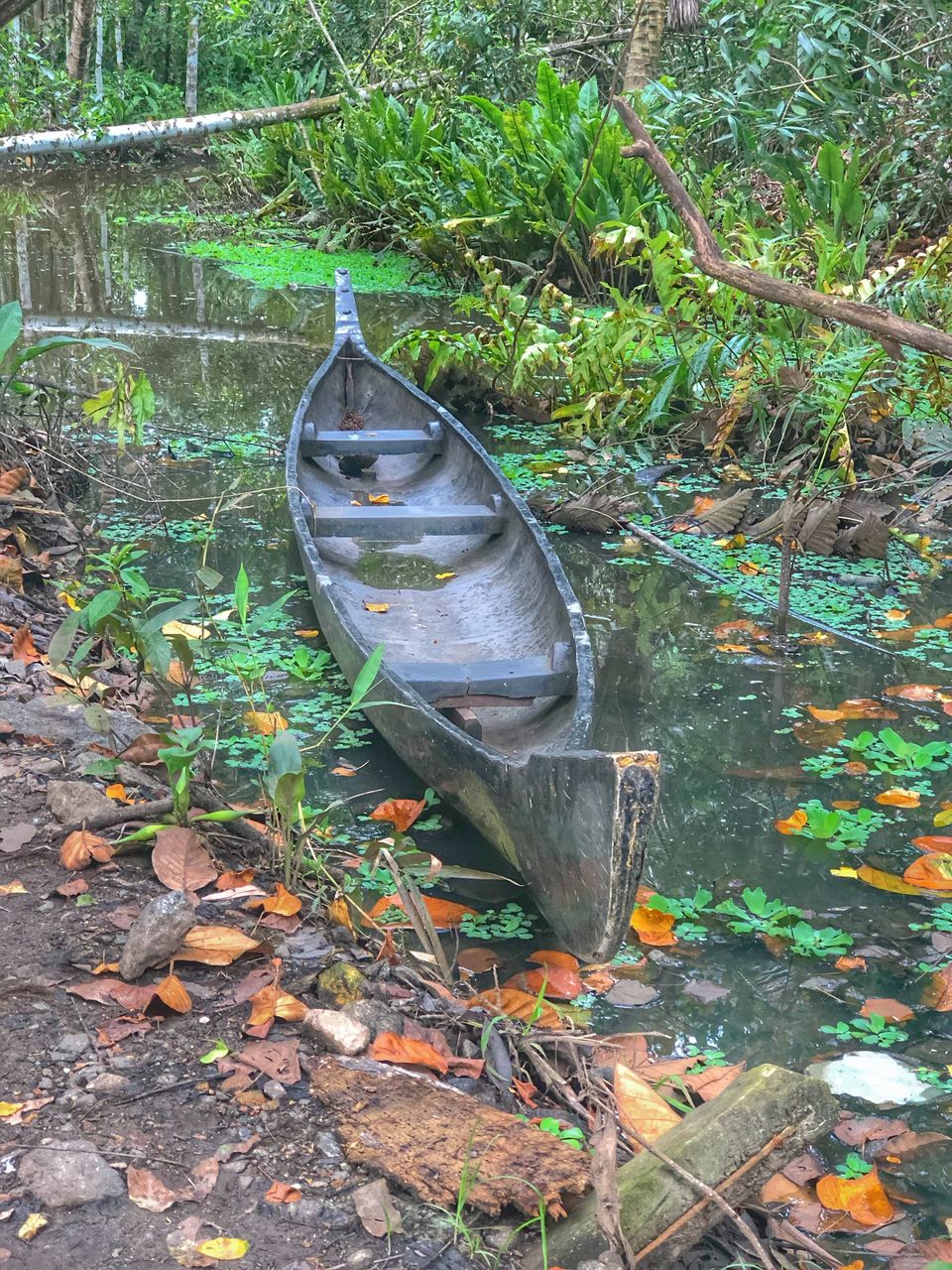 Photo of The Unexplored Side of Alleppey - Hidden Hotspots to Cover When You are Here Next 2/3 by Ann Mary Sebastian