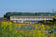 Photo of The Best Luxury Trains Around The World - Target Tours India 4/8 by Alex