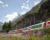 Photo of The Best Luxury Trains Around The World - Target Tours India 6/8 by Alex