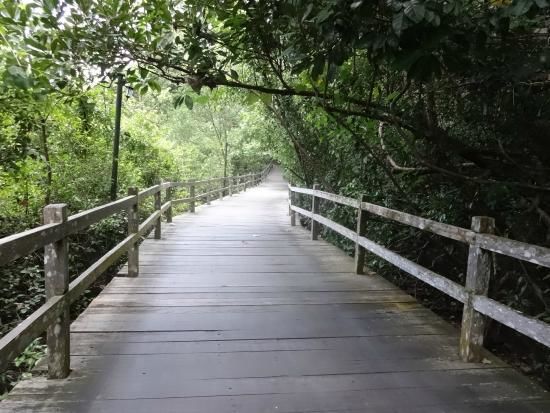 Photo of Permai Rainforest Resort Kuching Malaysia by Sujatha Sen