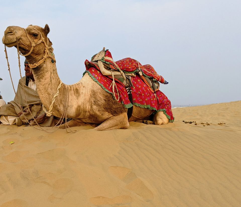 Photo of Rajasthan Rush: Wrapping 3 J's on a deadline by Raj Srivastav