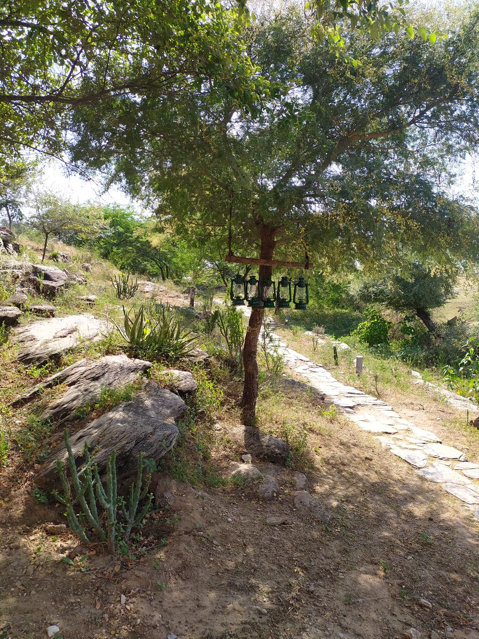 Photo of Lakshman Sagar, Raipur, Rajasthan, India by The Misfit Traveler