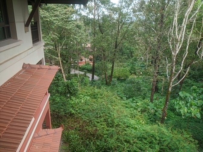 Photo of Madikeri and surrounding area by Joshua