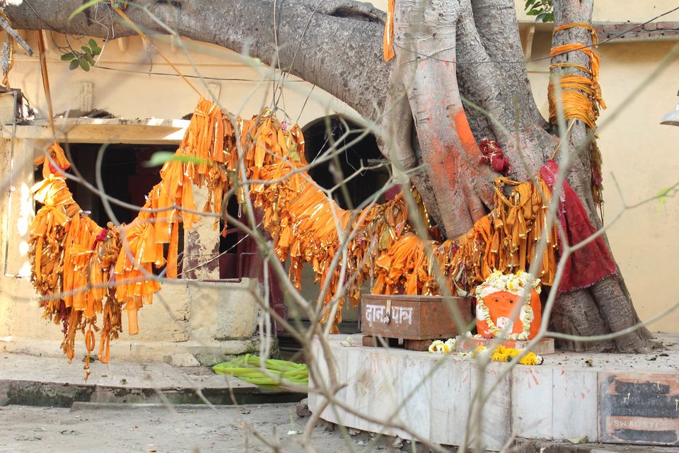 Photo of Mathura: Homeland of Lord Krishna #TripotoTravelReels 9/9 by Lucky Singh_बाग़ी उड़ान
