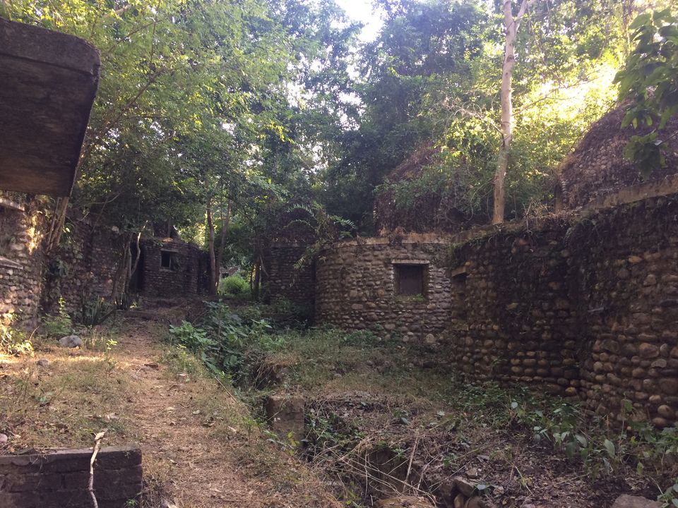 Photo of Beatles Ashram Rishikesh: Breathtaking history #TripotoTravelReels 7/14 by Lucky Singh_बाग़ी उड़ान