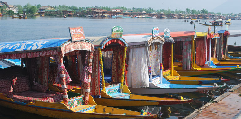 Photo of Memorable Moments while exploring Kashmir 1/1 by Pawan