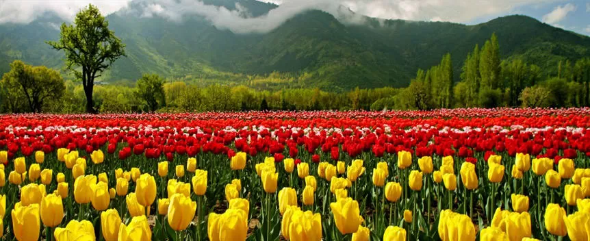 Photo of Srinagar by Aninda De