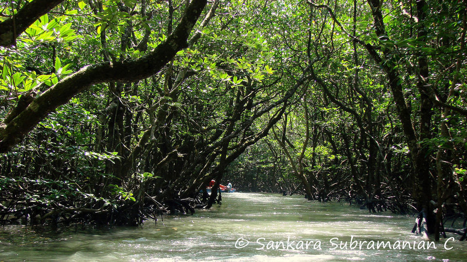 Photo of লং আইল্যান্ড : আন্দামানের বুকে লুকিয়ে থাকা এক গোপন দ্বীপ, যেন কোনও অজানা গুপ্তধন by Aninda De