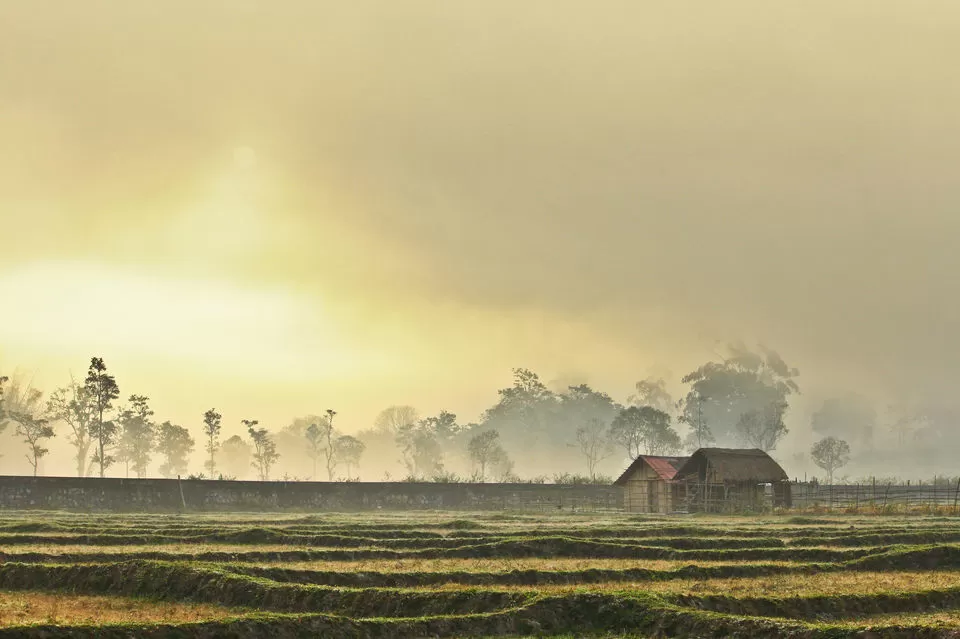 Photo of Bandipur National Park, Bandipur, Karnataka, India by Travel Like We Do 