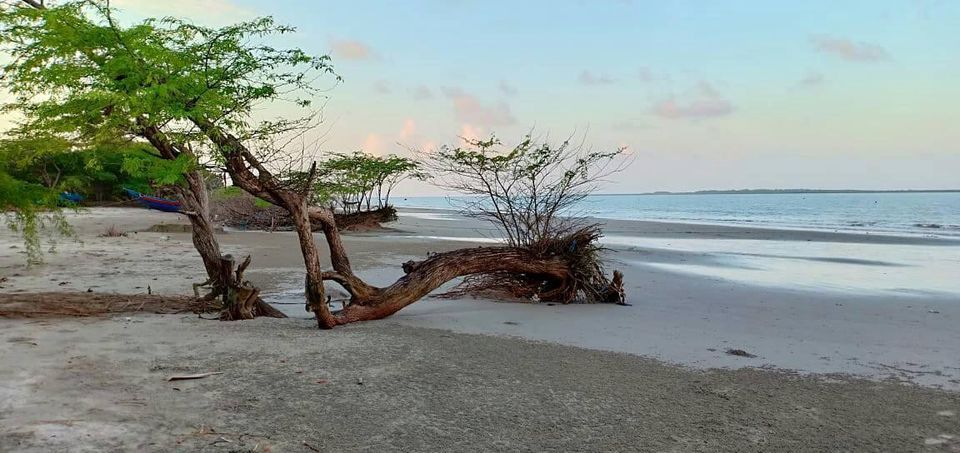Photo of Mousuni, West Bengal by Aninda De