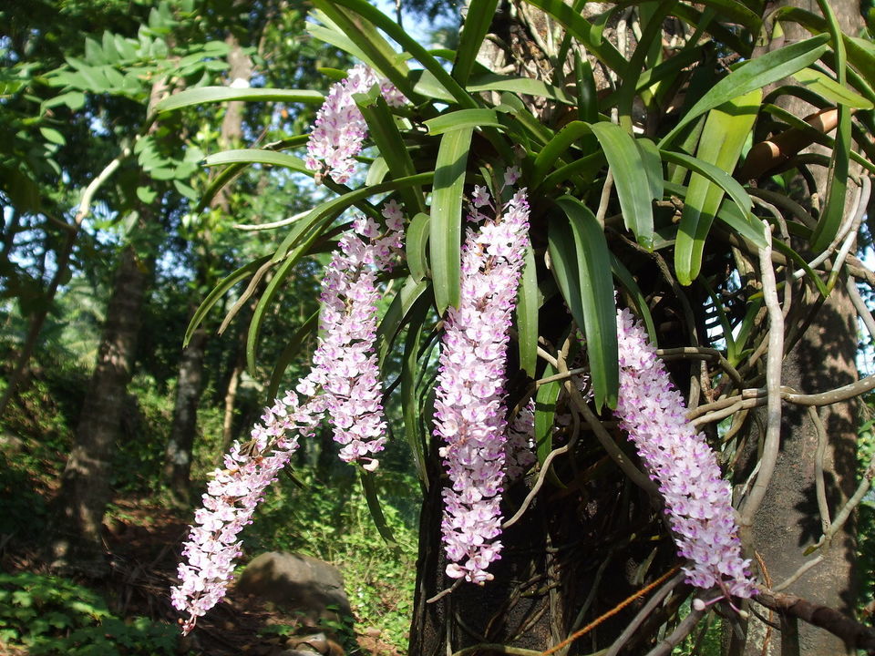 Photo of উত্তর বা দক্ষিণ ভারতের বাসিন্দাদের নর্থ ইস্টে যাওয়া একেবারেই অনুচিত, জেনে নিন কেন? 17/34 by Aninda De