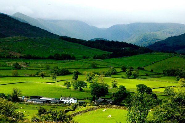 Photo of Ziro by Aninda De