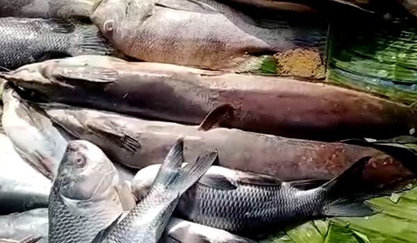 Photo of পয়লা মাঘ সকাল সকাল, ছিপ ফেলতে হবে তো? ৫০০ বছর পুরনো আদিসপ্তগ্রামের মাছ মেলা নিয়ে কিছু কথা 2/2 by Aninda De