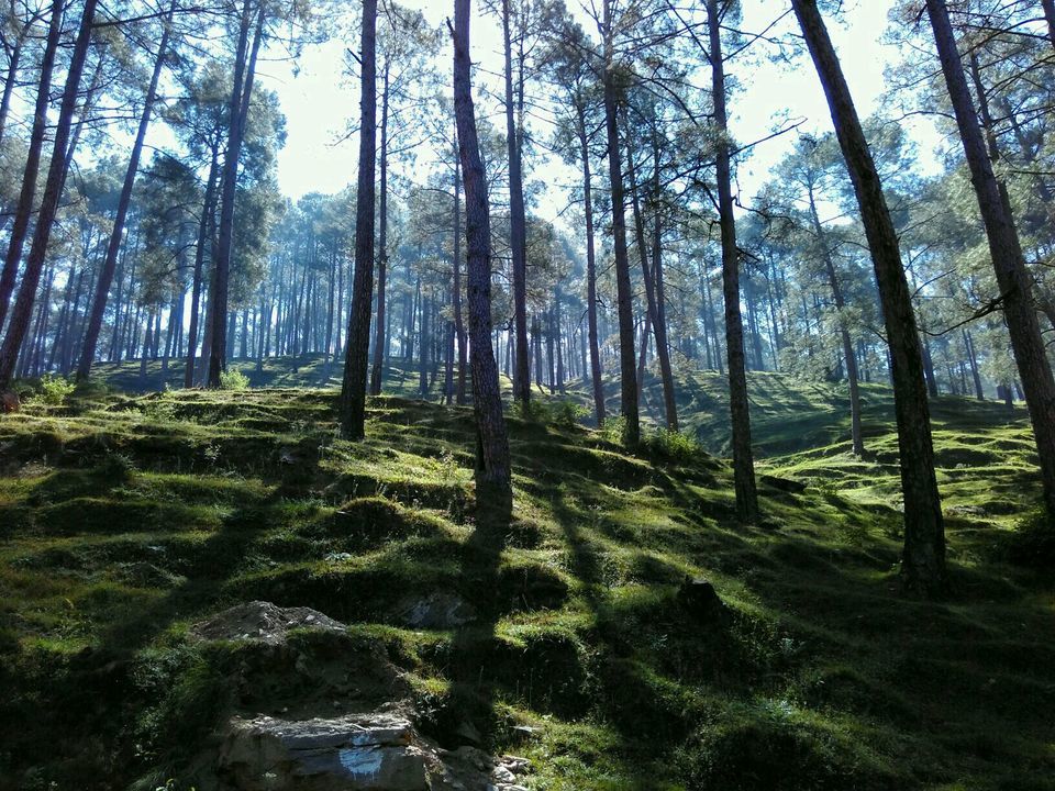 Photo of Kunjkharak Forest Rest House, Uttarakhand, India by Deya Das