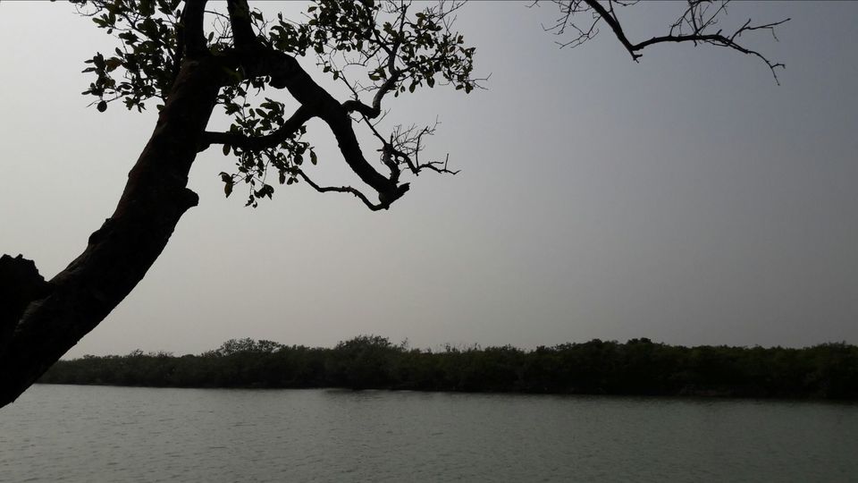 Photo of Bichitrapur, Odisha, India by Never ending footsteps