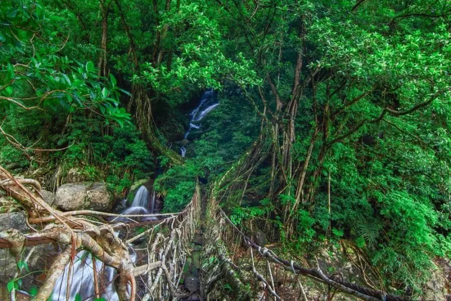 Photo of Nongriat, Meghalaya, India by Aninda De